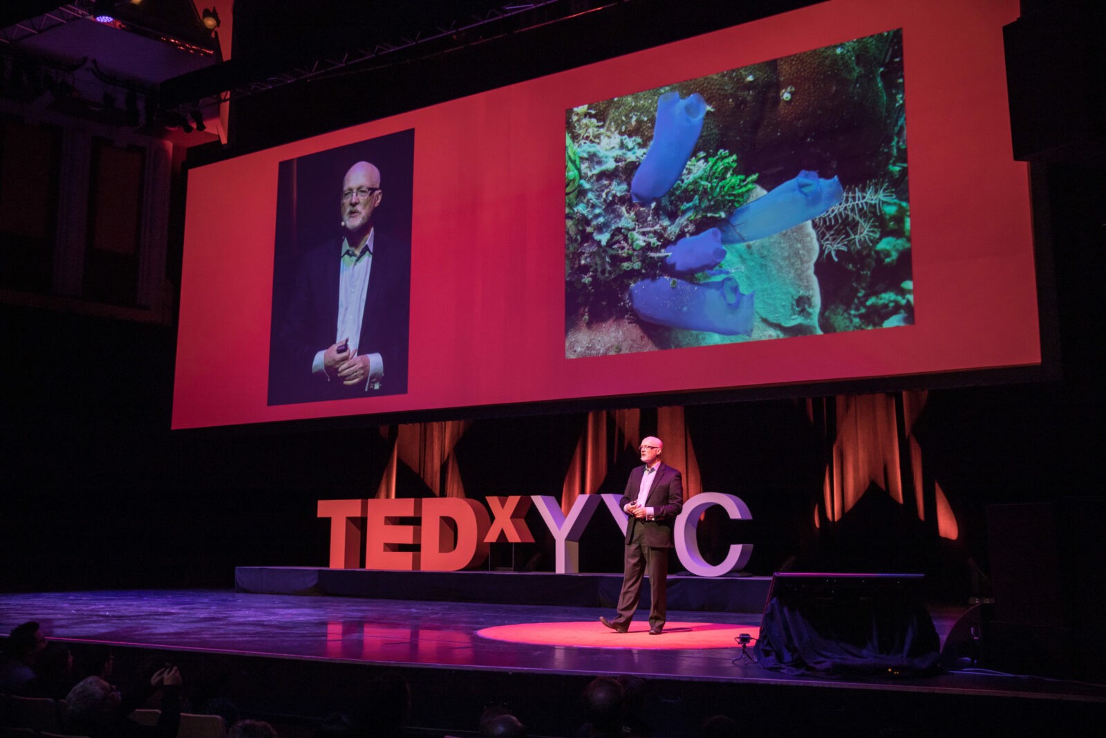 Over a million people have watched these 3 TEDxYYC talks – have you?